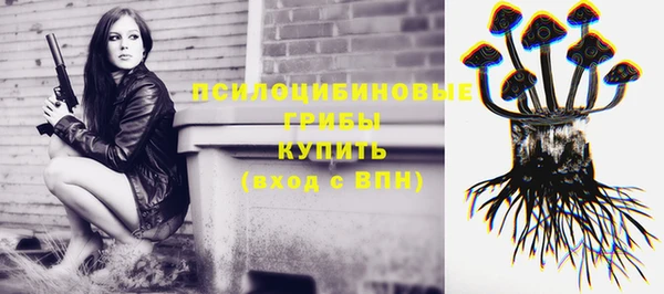 альфа пвп Мурманск