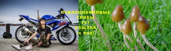 марки lsd Нижневартовск